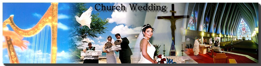 logo with harp and wedding couple
